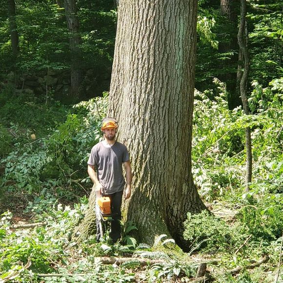 Meet your Posher, Kyle - Picture 1 of 1